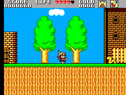 Super Wonder Boy – Monster World (Japan)